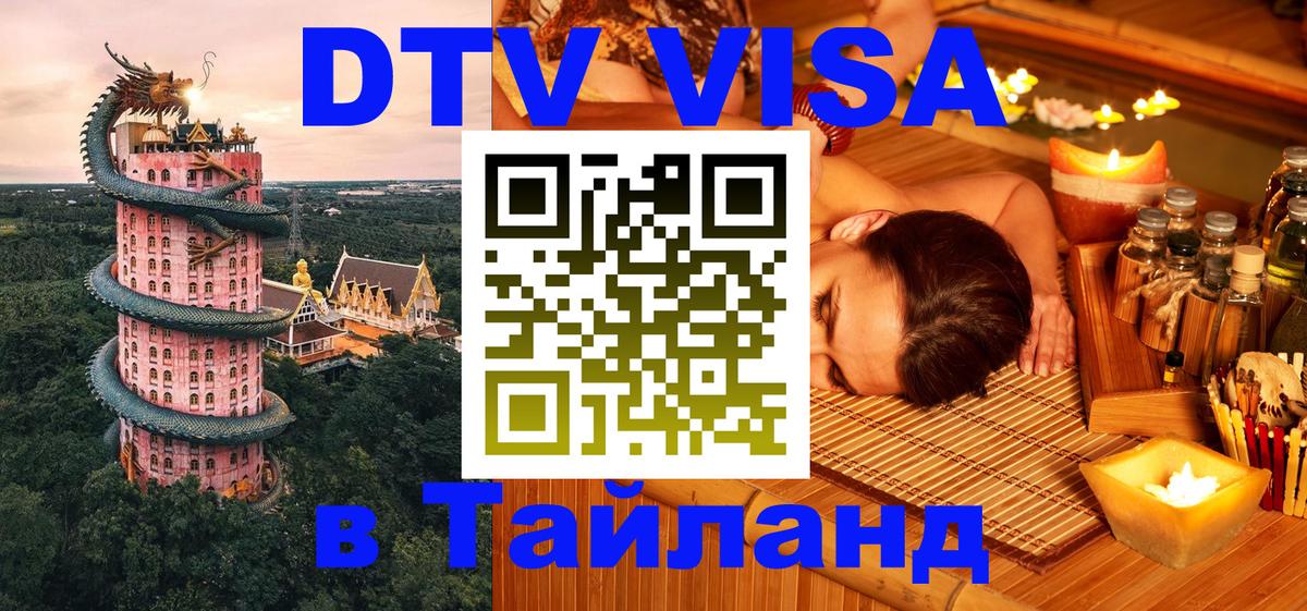 Оформление DTV визы под ключ: стоимость и тарифы, только загранпаспорт - Волгоград 